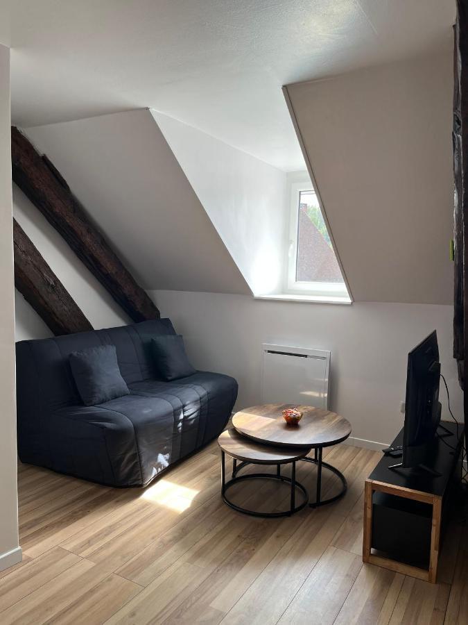 Appartement De La Fontaine A La Tour Du Pin Hyper Centre Parking Prive 外观 照片